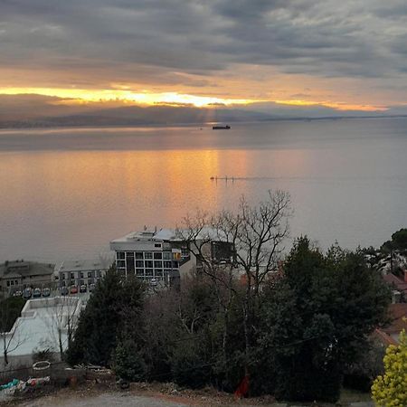 Apartment Ana Opatija Zewnętrze zdjęcie