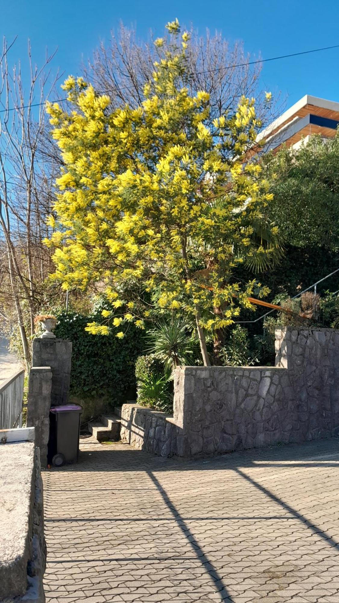 Apartment Ana Opatija Zewnętrze zdjęcie