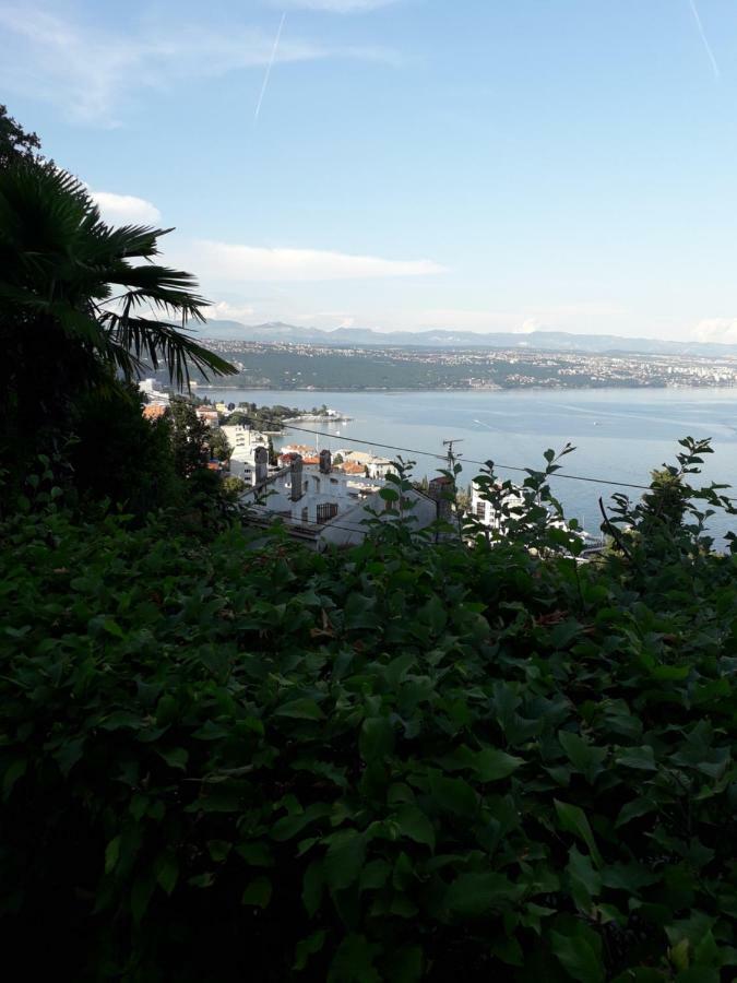 Apartment Ana Opatija Zewnętrze zdjęcie